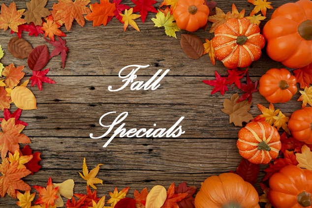 Webservio Fall Specials image